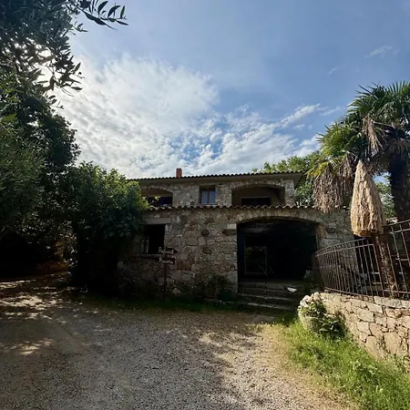 Maison Au Coeur Du Reginu Feliceto
